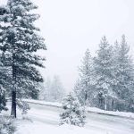 34. Placer County, California