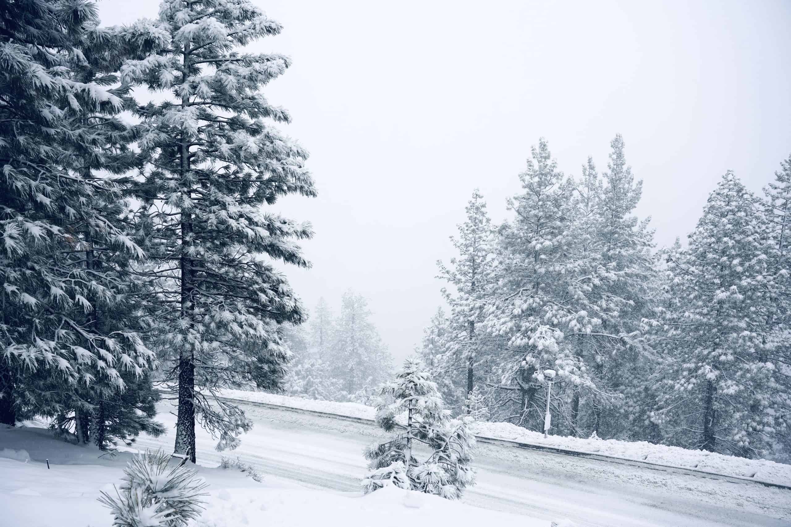 34. Placer County, California