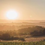 Oregon: Newberg