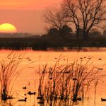 26. Huron, SD (Beadle County)