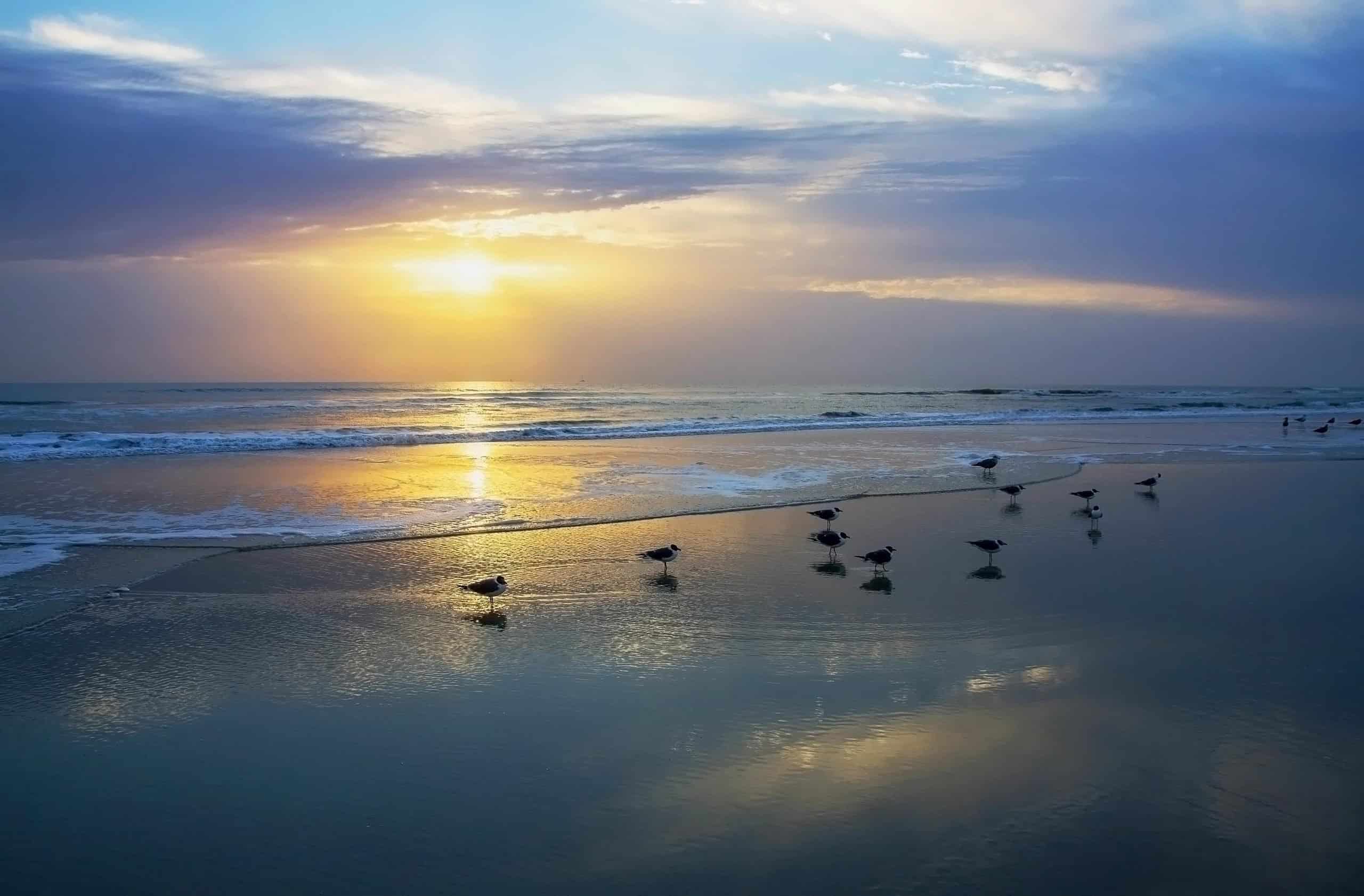 21. Palm Beach, United States