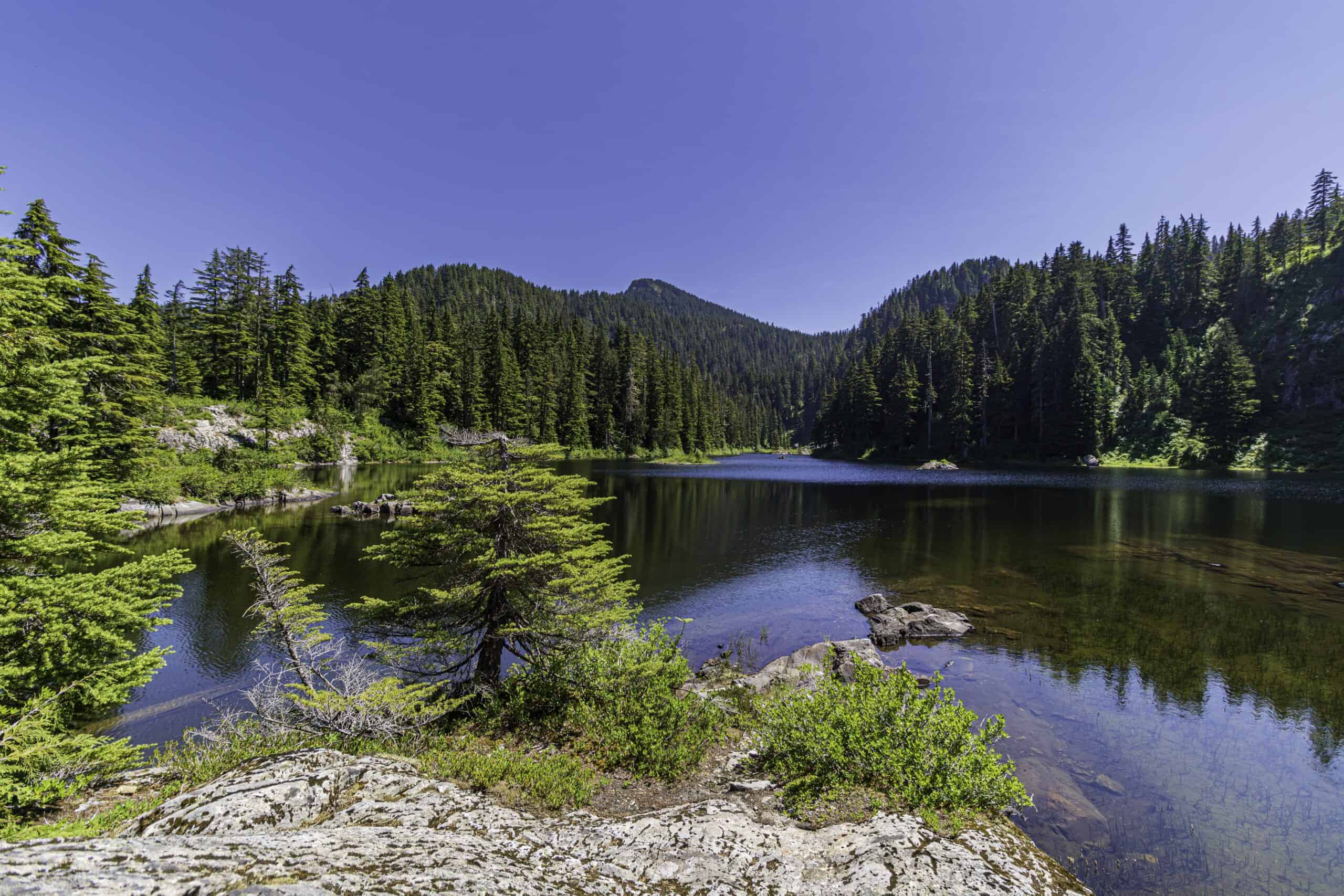42. Snohomish County, Washington