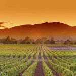 40. Napa County, California