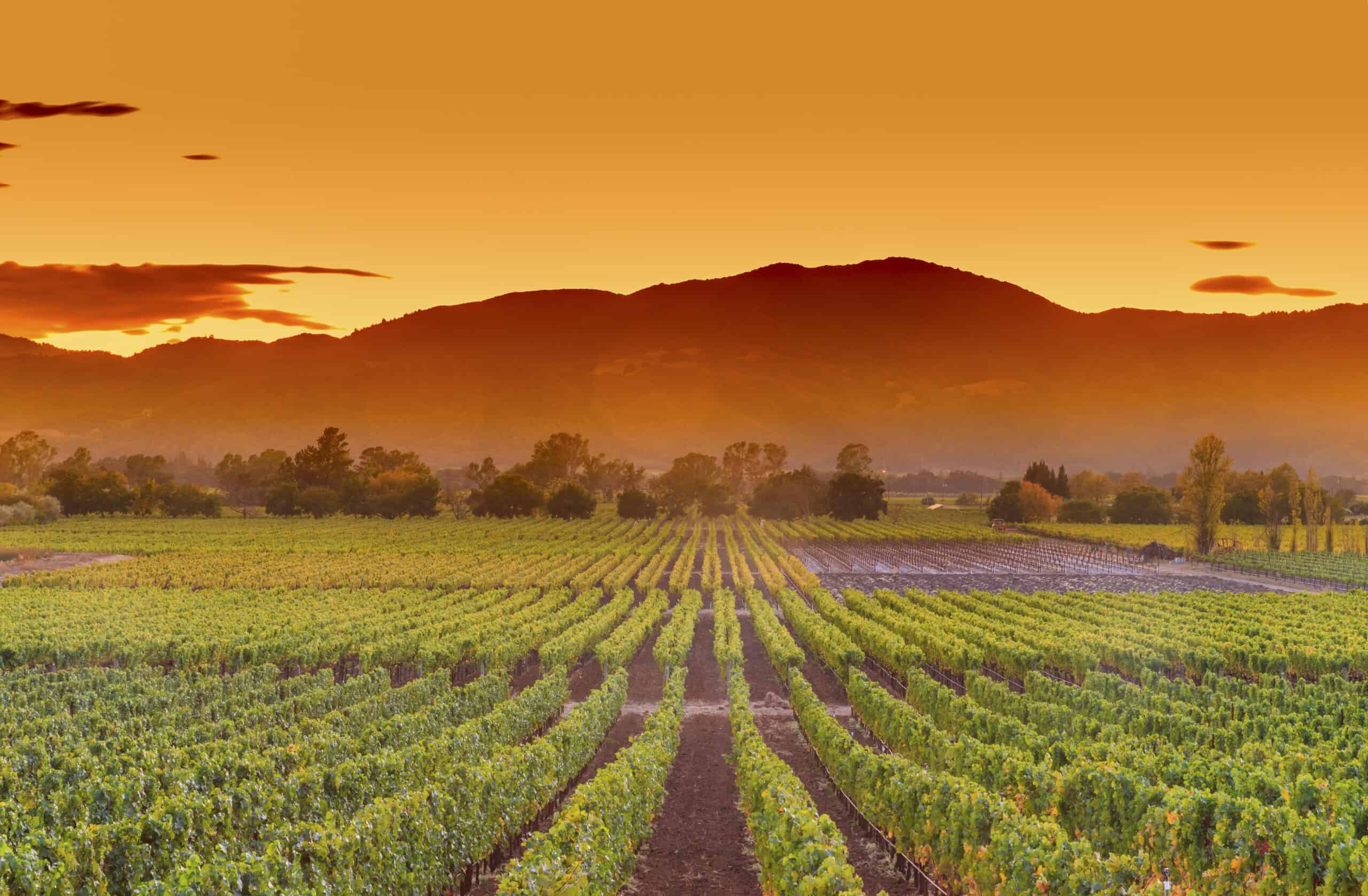 40. Napa County, California