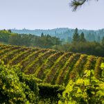 47. El Dorado County, California