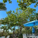 31. Indian Rocks Beach, FL