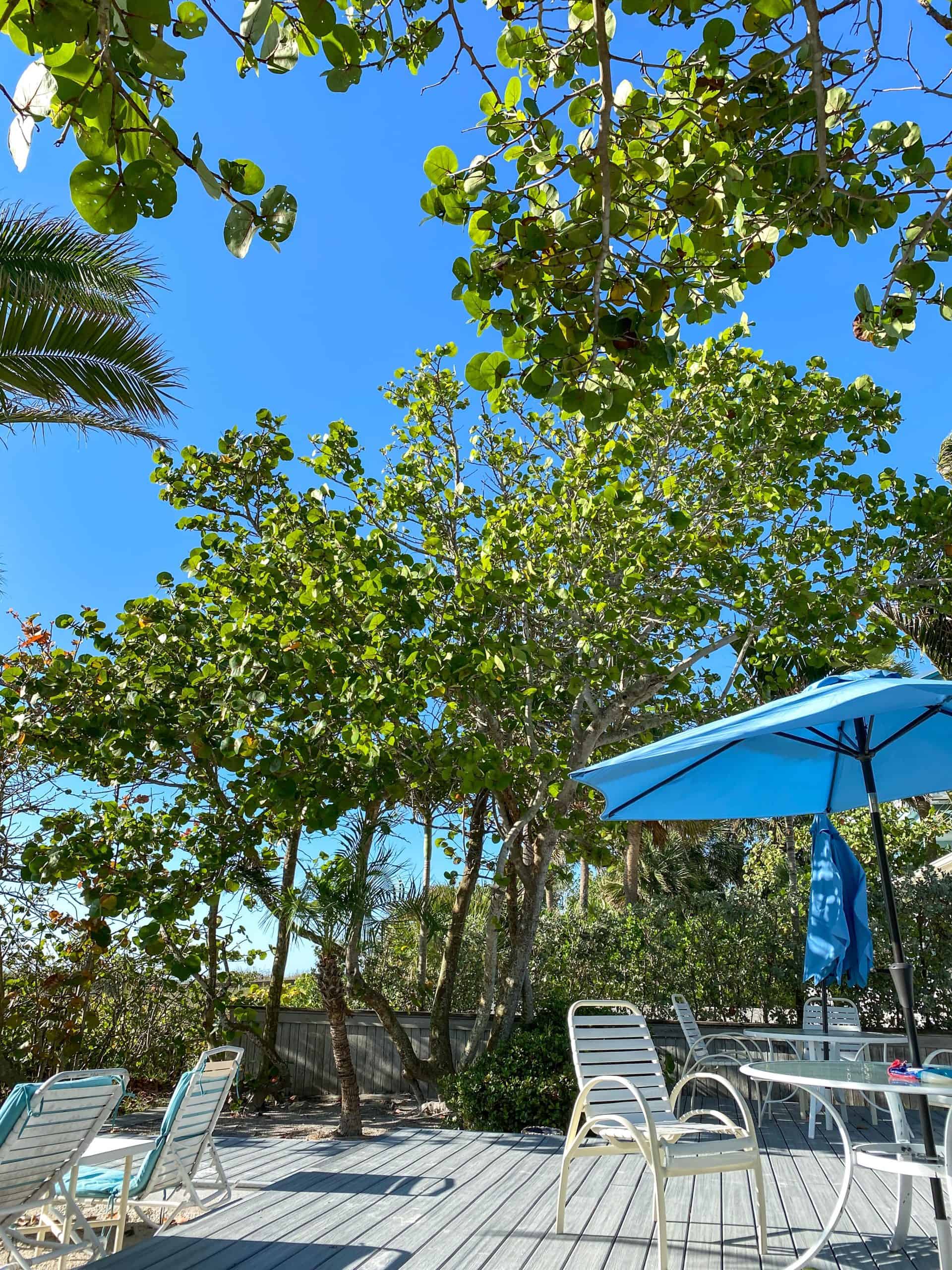 31. Indian Rocks Beach, FL