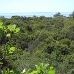 27. Timor-Leste