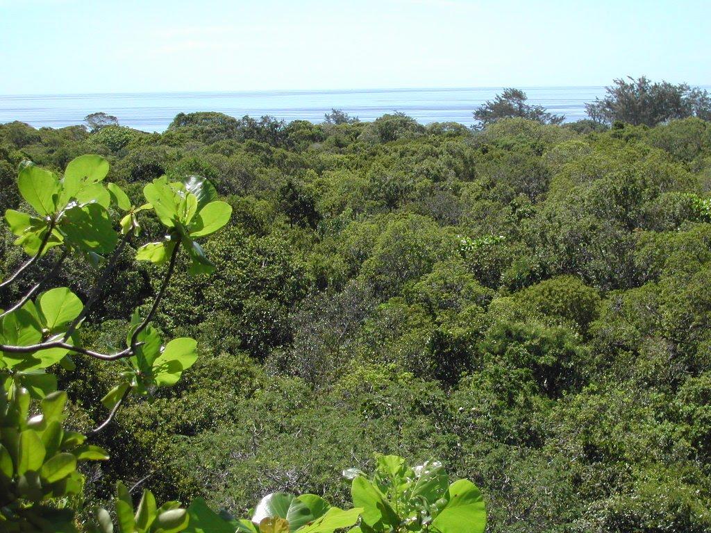 27. Timor-Leste
