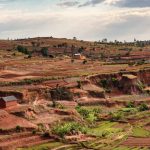 11. Madagascar