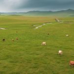 32. Mongolia