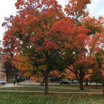 10. East Lansing, MI