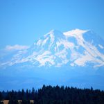 19. Lacey, WA