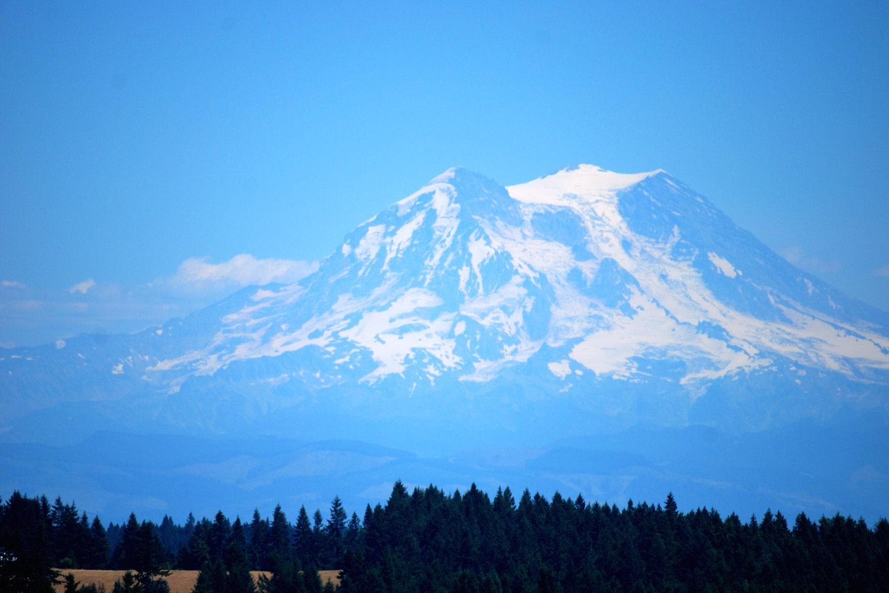 19. Lacey, WA