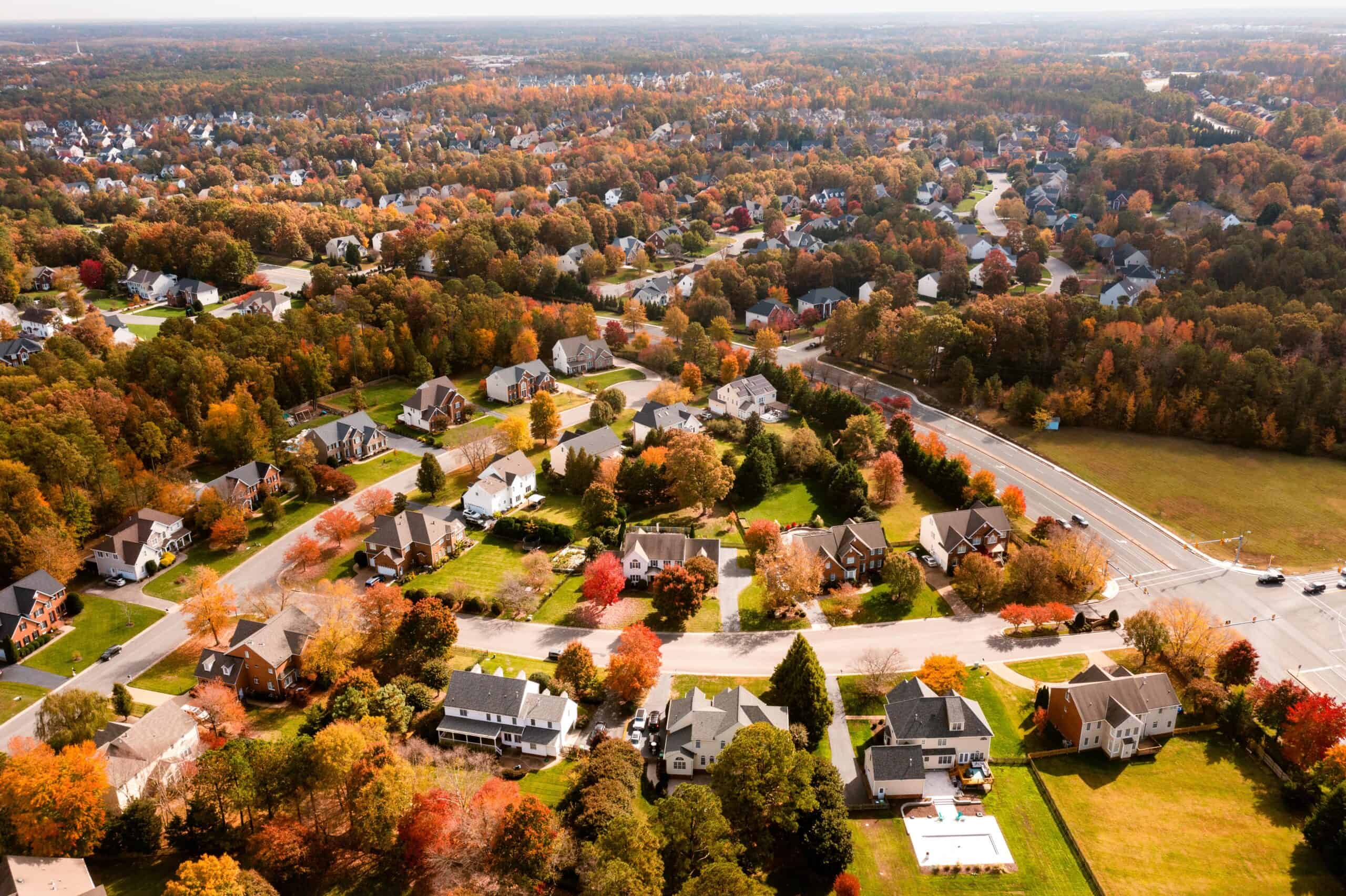 14. Virginia