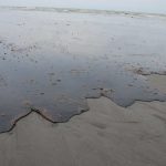 10. Grand Isle, LA