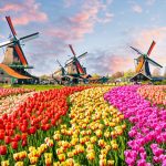 37. Netherlands